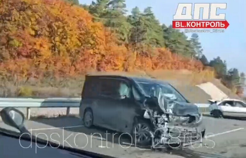 На трассе Благовещенск  Свободный пьяный водитель устроил жесткое ДТП видео 