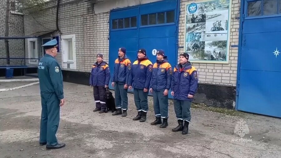 К месту поисков пропавшей неделю назад 70летней амурчанки отправилась новая группа МЧС с кинологом
