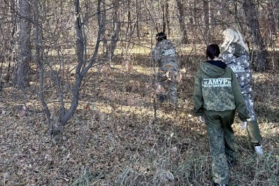 Поисковики Амура приостановили поиски пожилой женщины пропавшей в Архаринском округе