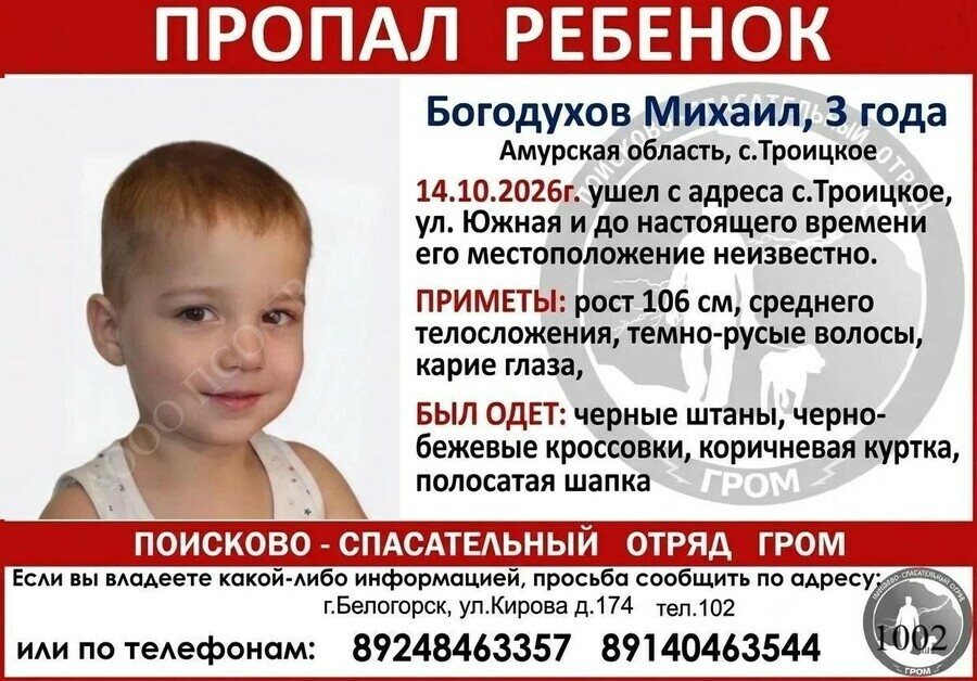 Совсем маленький мальчик потерялся в Амурской области Подключился Центр помощи детям