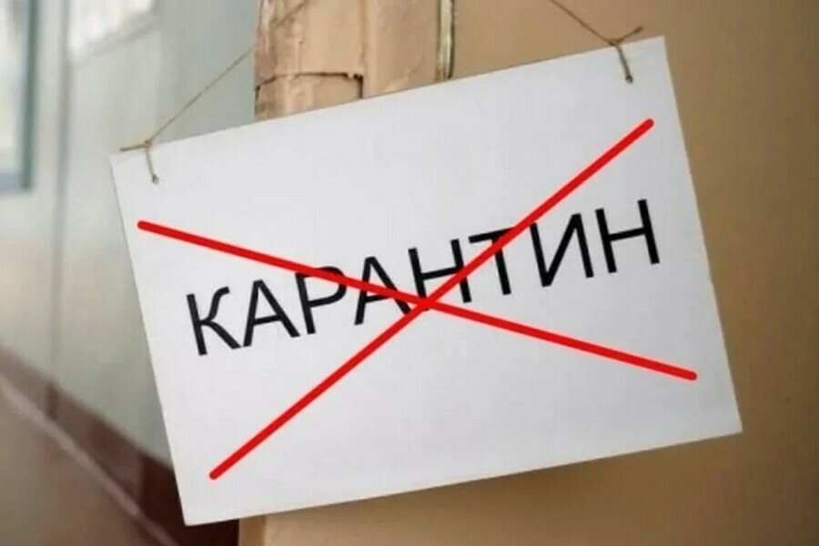 Карантин по бешенству сняли в Белогорске но некоторые ограничения еще остались 