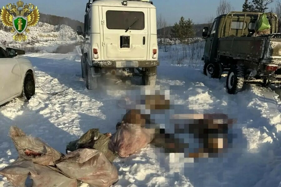В Приамурье через суд добились выплаты ущерба за незаконную охоту Сумма оказалась внушительной