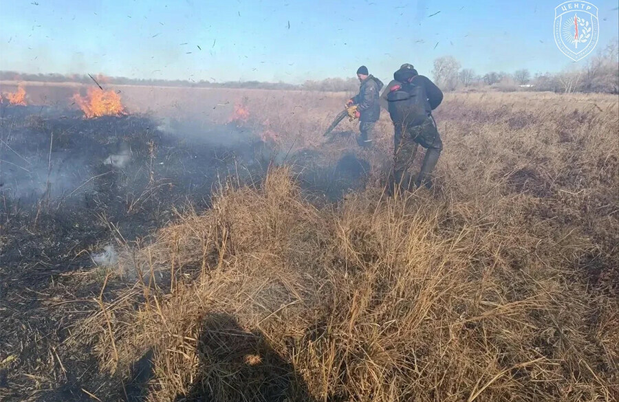 Люди продолжают сжигать траву почти 17 часов боролись с палом около сёл пожарные в Амурской области