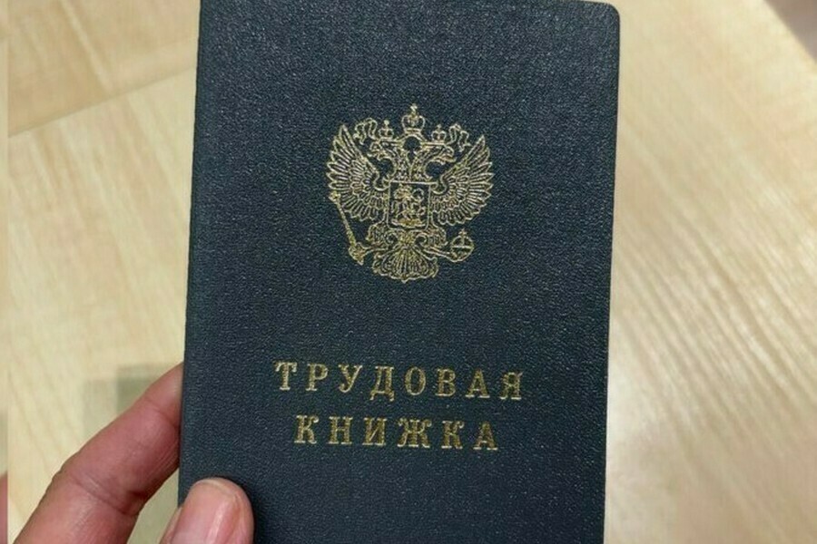 Названы сферы в России где легче всего трудоустроиться без опыта
