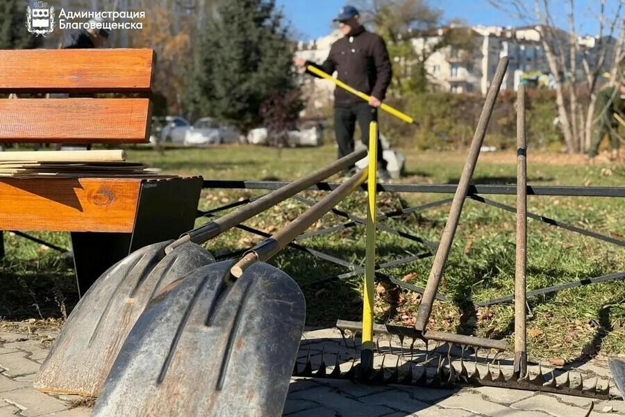 Липы кустарники и тысячи участников как в Благовещенске проходит акция Город берегу фото