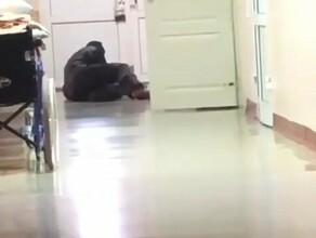 Просто ужас какойто В больнице Райчихинска сняли пациента ползущего по коридору видео