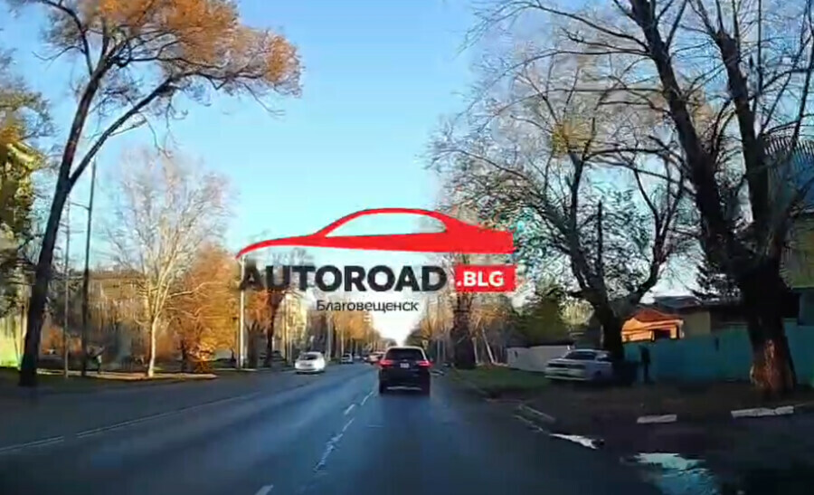 В Благовещенске автомобиль протаранил дерево на улице Чайковского