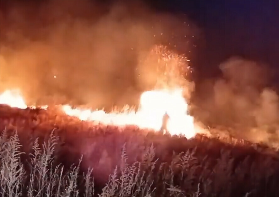 В Приамурье едва не случилась беда вблизи Грибского ночью разбушевался пожар видео