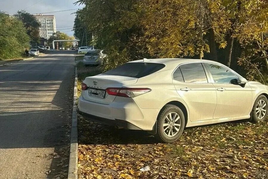 Благовещенцы устроили дорогую осеннюю фотосессию под деревьями фото