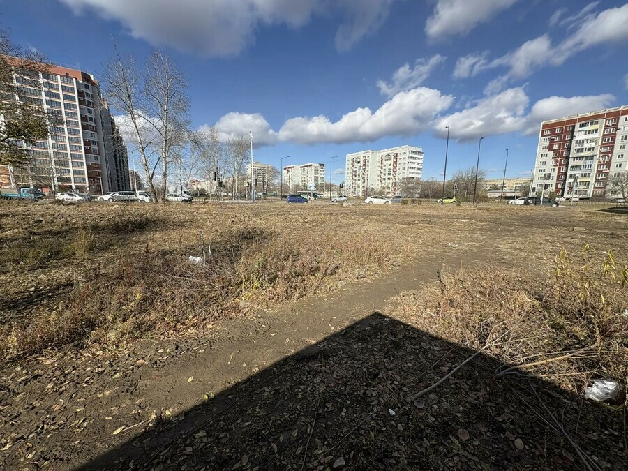 Обещали в октябре но там ничего нет жители Благовещенска ждут площадку для собак за 65 миллиона рублей фото