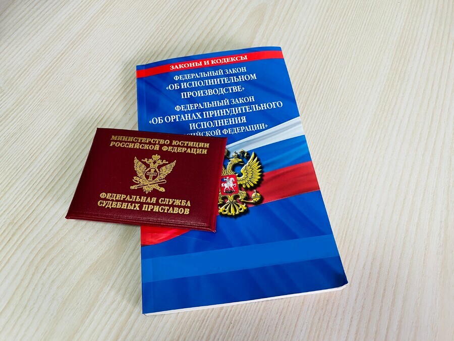 Почти миллион рублей пришлось отдать бизнесмену из Благовещенска после вмешательства приставов