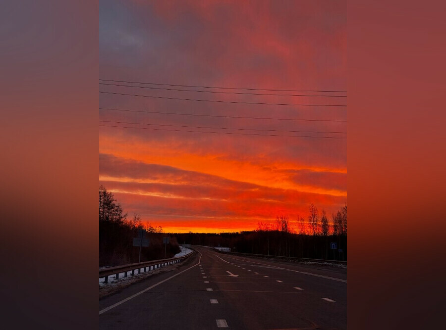 Это чтото на невероятном что так поразило в Амурской области пару из Москвы которая идет пешком до Владивостока фото видео