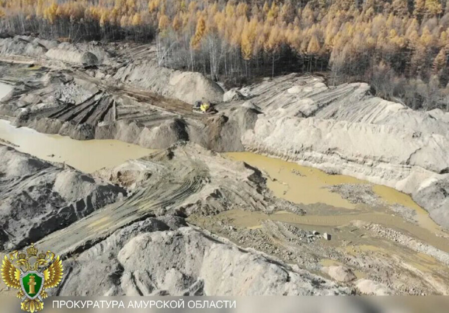 В Амурской области изза варварской вырубки леса возбуждено уголовное дело