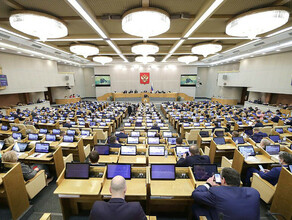 Законопроект о нечаянной коррупции приняла в первом чтении Госдума РФ