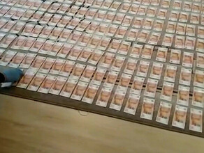 Деньги не пахнут В уличном туалете главы алтайского минздрава нашли почти 6 миллионов рублей