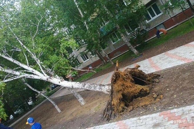 Амурская область готовится к сильному ветру