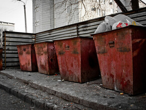 Амурский бизнесомбудсмен обратился к губернатору с предложением отменить завышенные мусорные нормативы 