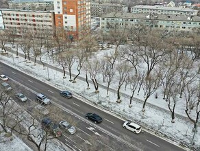 Центр развития территорий узнает у горожан как обустроить сквер в районе Калинина  Октябрьской 
