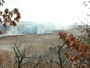 В Амурской области начали фиксировать первые весенние палы видео