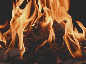 Через три дня на юге Амурской области планируют открыть пожароопасный сезон