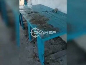 В Амурской области возле села Заречное обнаружен окровавленный стол видео