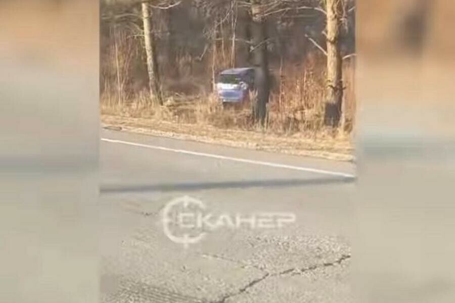 На свободненской трассе в автоаварии погибли два человека видео