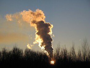 Сухую траву жечь запрещено в Приамурье введены пожароопасный сезон и особый противопожарный режим