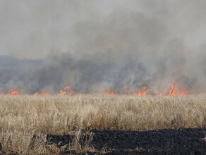 Первый природный пожар зарегистрирован в Амурской области