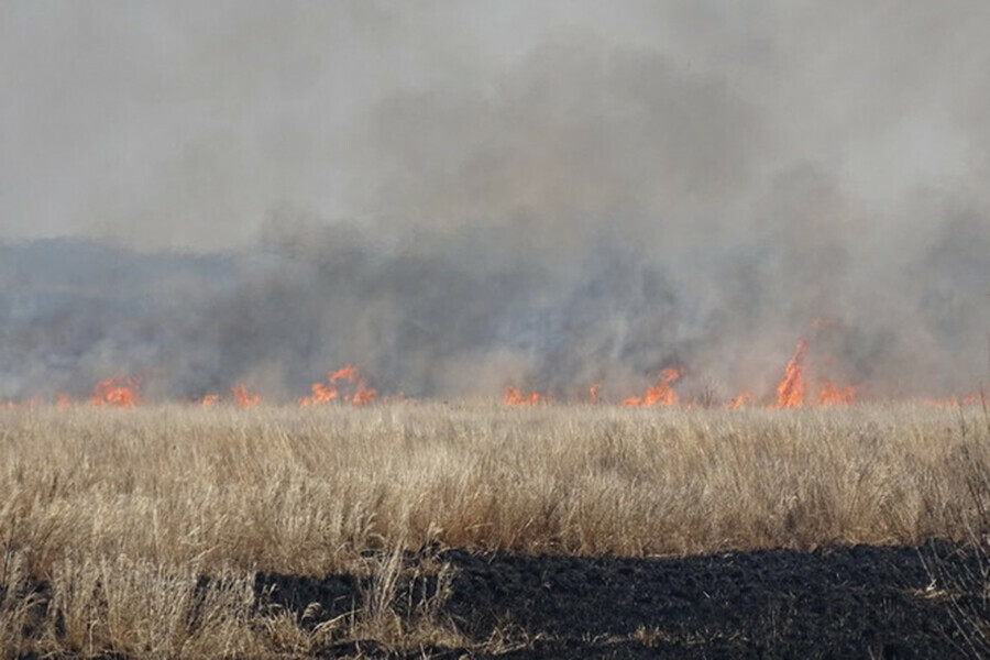 Первый природный пожар зарегистрирован в Амурской области