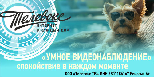 Телевокс