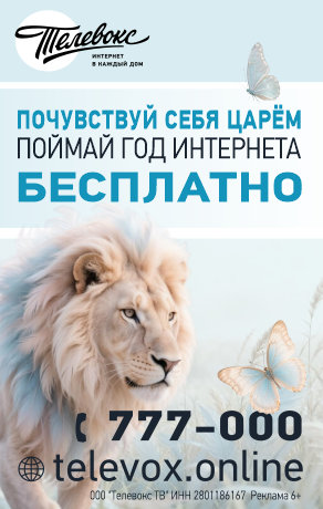 Телевокс