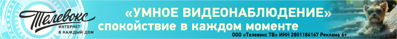 Телевокс